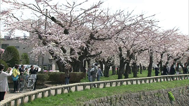 北海道Goryokaku公园视频素材