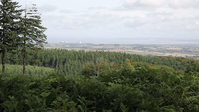 英国萨默塞特郡Quantock Hills林区视频素材