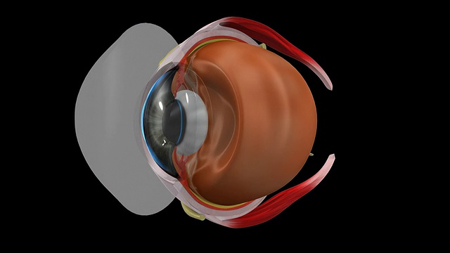 眼球视频素材