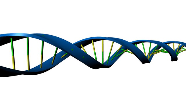 DNA结构视频素材