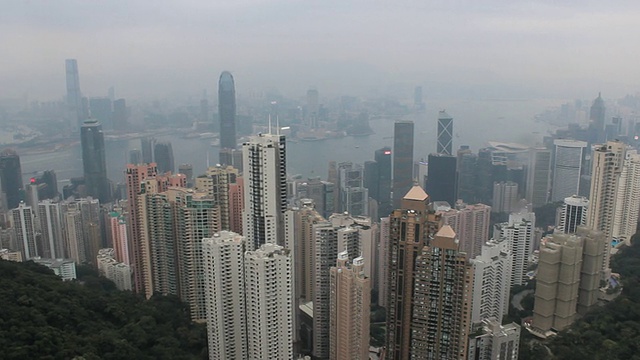 夜晚的香港天际线视频素材