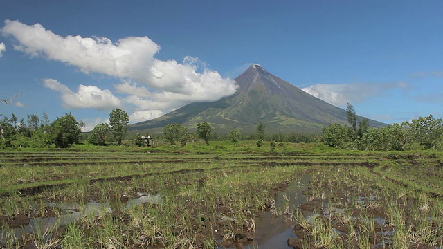 马荣火山和稻田，莱加皮，菲律宾视频下载