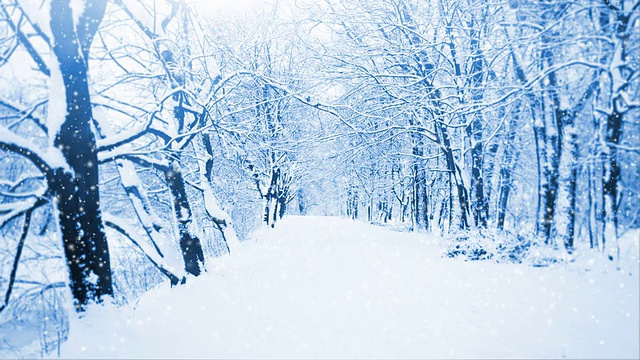 飘落的雪花视频素材