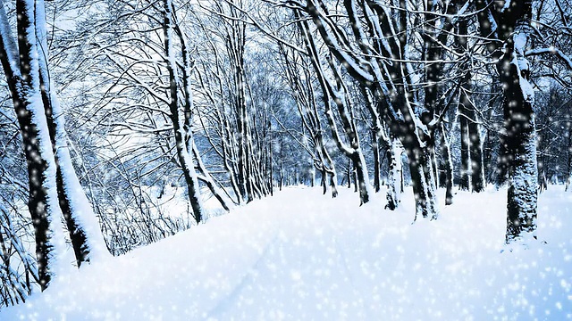 飘落的雪花视频素材