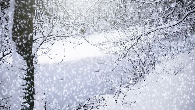 飘落的雪花视频素材