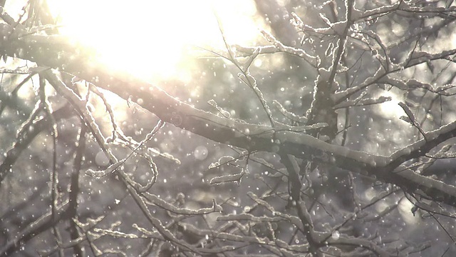 阳光下的雪花视频素材