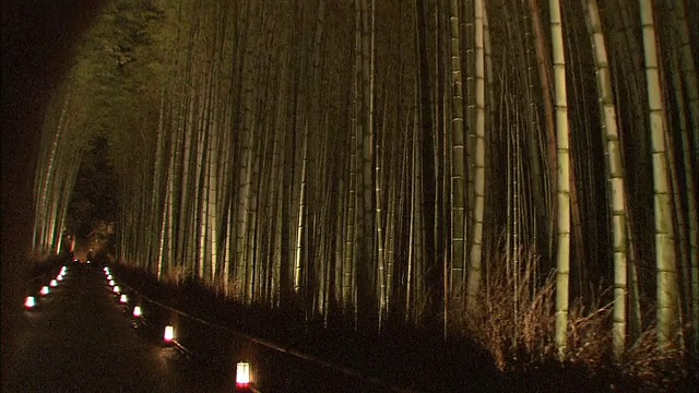 京都岚山的竹林视频素材