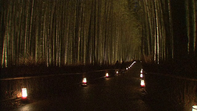 京都岚山的竹林视频素材