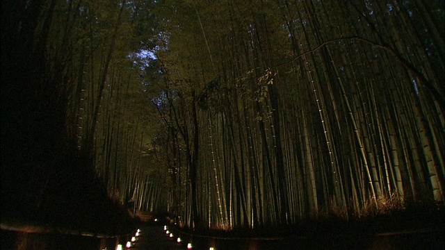 京都岚山的竹林视频素材