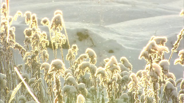 闪亮的冰晶视频素材