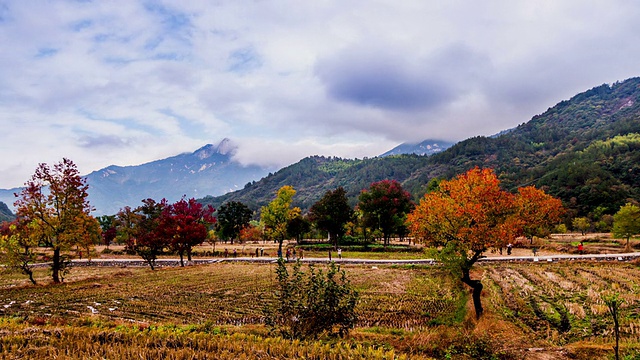 中国湖北大别山的秋景视频素材