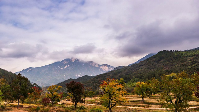 中国湖北省大别山的神奇云视频素材