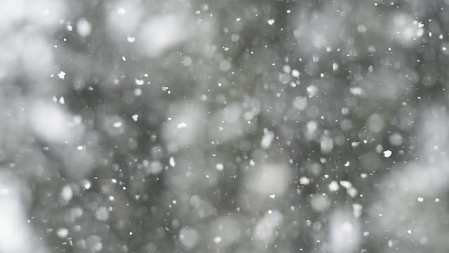 雪花在风中飘动视频下载