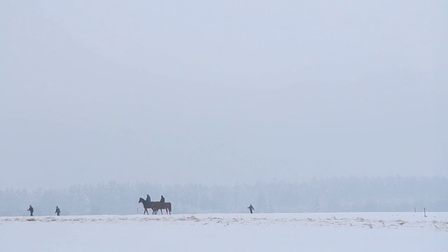 雪地里的骑手视频下载