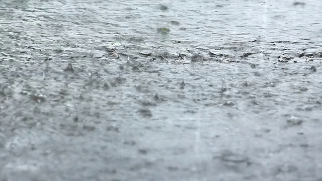 雨滴视频素材