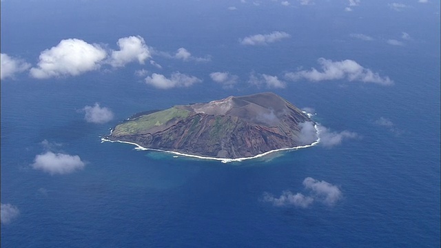 鸟岛，日本视频素材