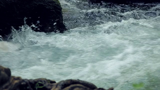 湍急的河水视频素材