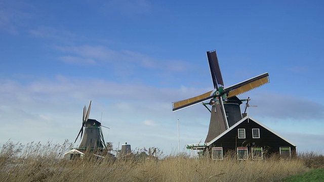 Zaanse Schans历史悠久的风车。荷兰视频素材