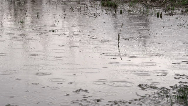 泥泞的地面上有一个大水坑，里面有雨滴视频下载