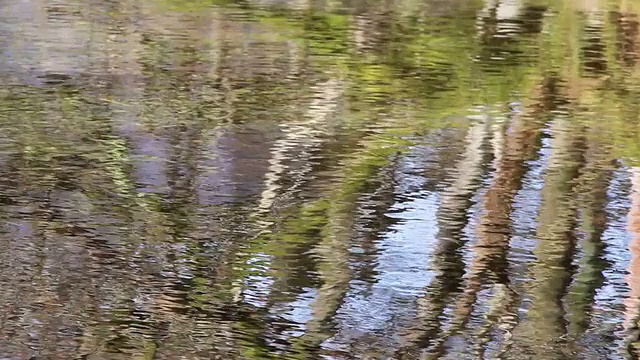 从美丽的湖水上涟漪的倒影中拉出聚焦散景视频下载