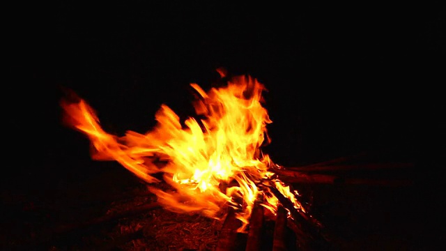 篝火燃烧木材视频素材