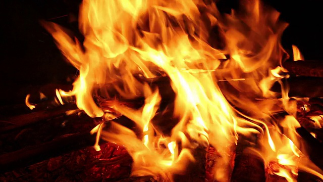 篝火燃烧木材视频素材