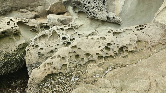 Larrabee州立公园海滩岩层，华盛顿视频素材