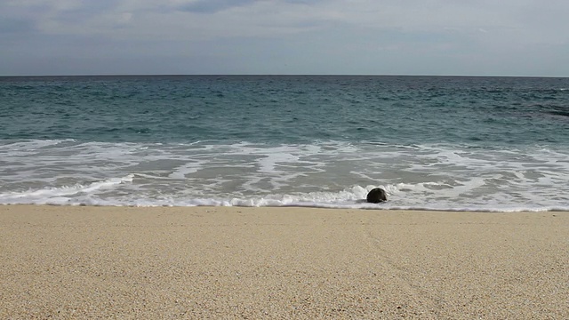 海滩坚果视频素材