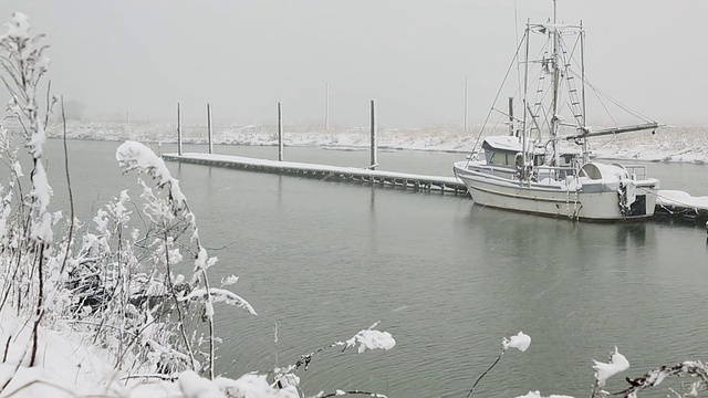 苏格兰池塘史蒂夫斯顿新雪视频素材