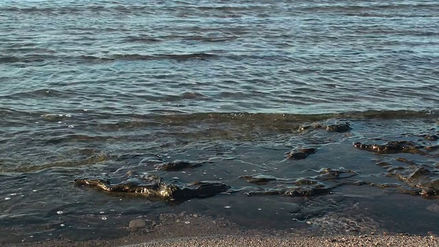 海岸视频素材