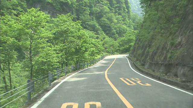 日本博山超级林道森林路视频素材