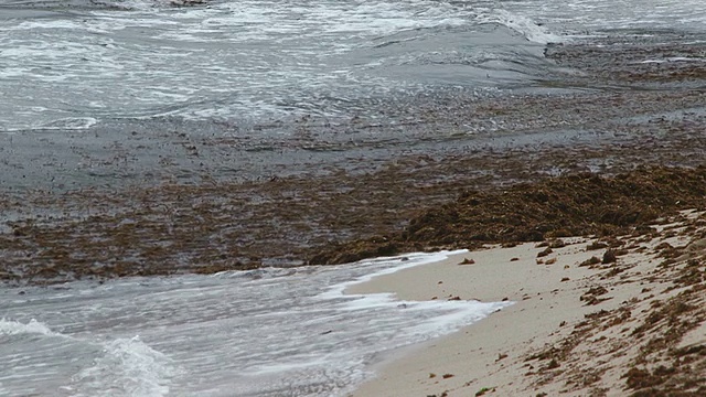 海浪冲刷着肮脏的海岸视频下载