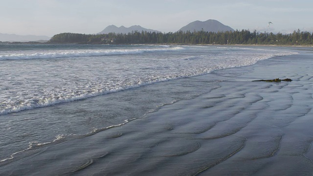 海滩太阳冲浪者森林山视频下载