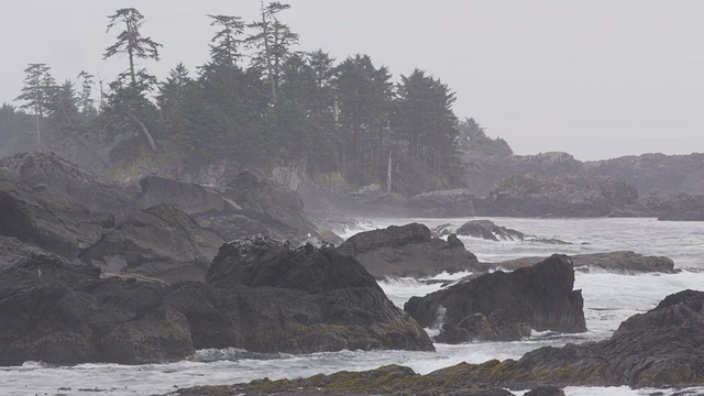 海浪，黑岩石，海岸线树木视频素材