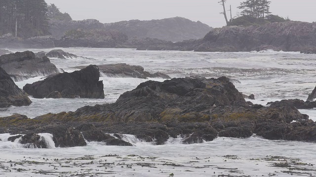 海浪黑色岩石海岸线视频素材