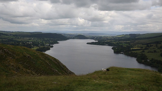 乌尔斯沃特湖区(Ullswater Lake District UK)的黑色和白色绵羊视频素材