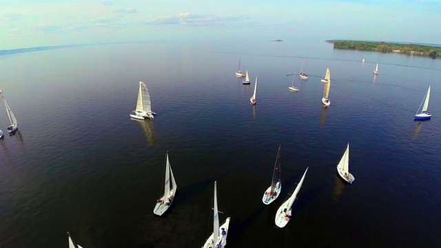 风平浪静，许多帆船漂浮在水面上，赛舟会视频素材