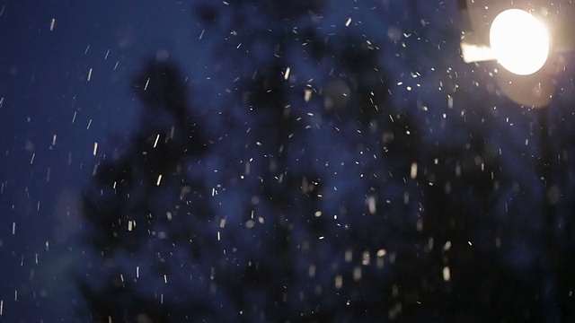 飘落的雪花视频素材