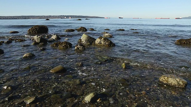 英吉利湾海滩温哥华摄影视频素材