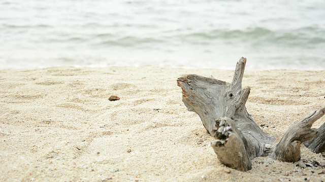 登陆以波浪为背景的沙滩视频素材