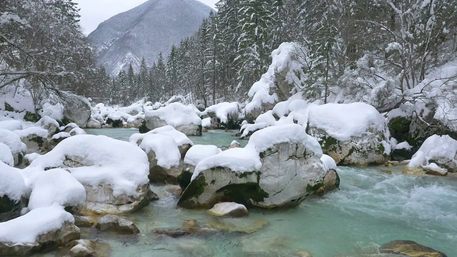 AERIAL:美丽的翡翠河流经白雪覆盖的森林视频素材