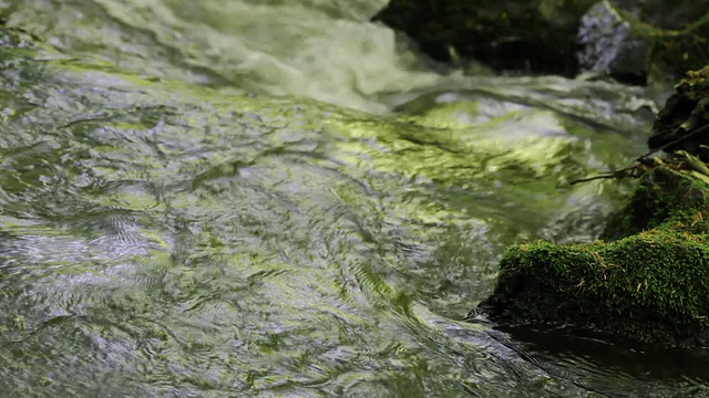 水流视频素材