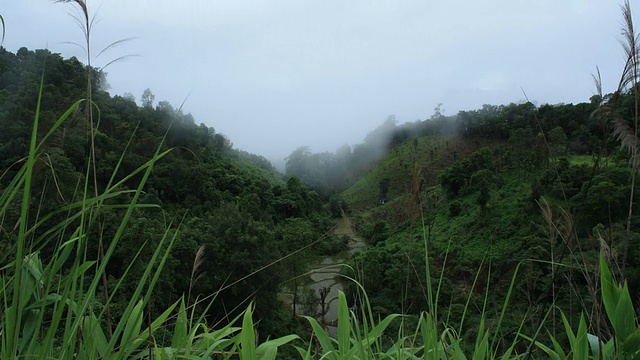 时光流逝云在山视频下载