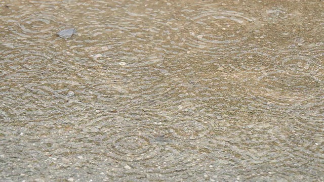 雨点落在水坑上。雨视频素材