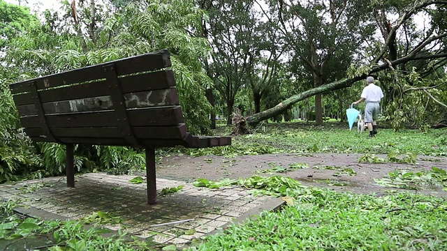 台风苏力，台风在台湾比十年前更大视频下载