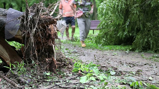 台风苏力，比10年前更大的台风视频下载