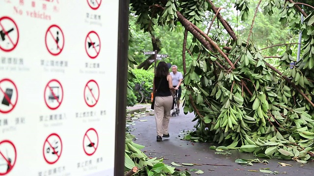 台风苏力，比10年前更大的台风视频下载