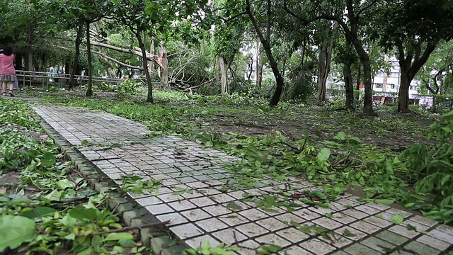 台风苏力，台风在台湾比十年前更大视频素材