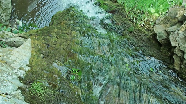 纯净的淡水瀑布在森林中运行在苔藓岩石上视频素材