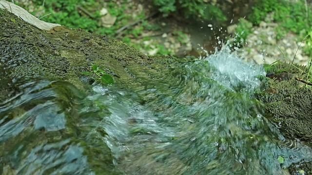 纯净的淡水瀑布在森林中运行在苔藓岩石上视频素材